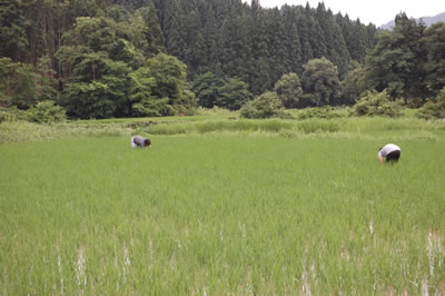 �����ނ���j2�l