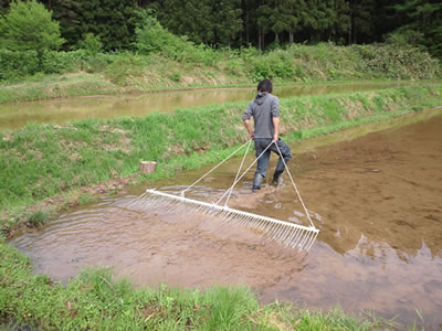 ���菜���̗l�q