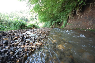 ���R�͔|�ā@�ŏ㗬���������܂�