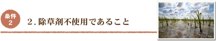 シェアふぁーむの日本で1番おいしいおコメ｜除草剤不使用であること