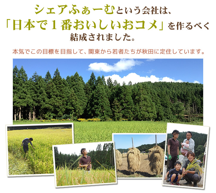 シェアふぁーむの日本で1番おいしいおコメ｜若者の農業