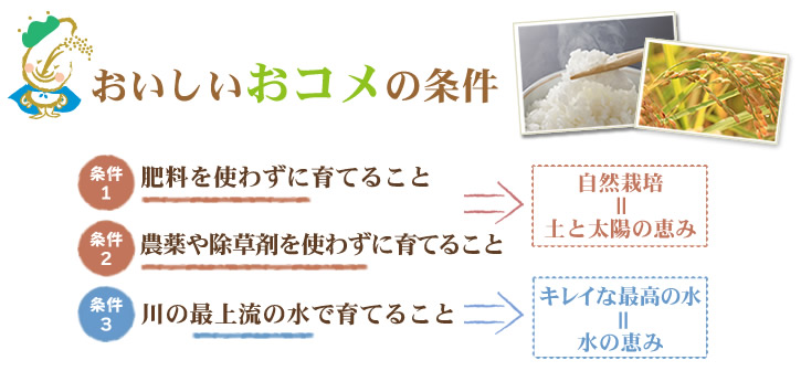 シェアふぁーむの日本で1番おいしいおコメ｜若者の農業